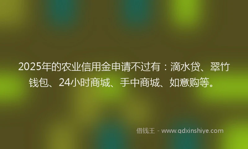 2025年的农业信用金申请不过有：滴水贷、翠竹钱包、24小时商城、手中商城、如意购等。