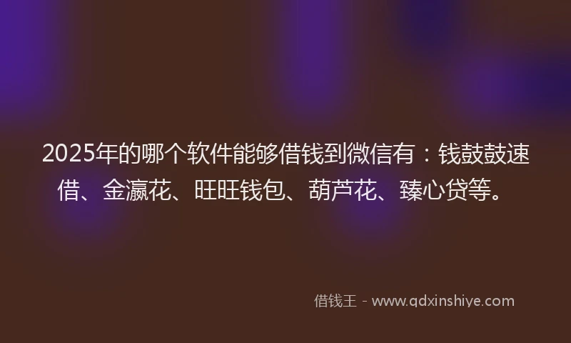 2025年的哪个软件能够借钱到微信有：钱鼓鼓速借、金瀛花、旺旺钱包、葫芦花、臻心贷等。