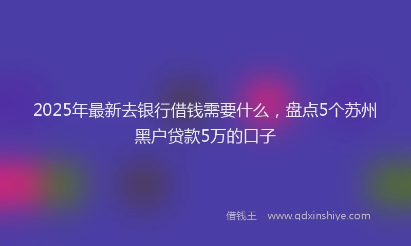 2025年最新去银行借钱需要什么，盘点5个苏州黑户贷款5万的口子