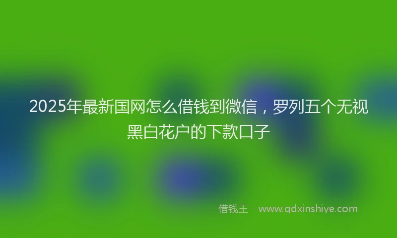 2025年最新国网怎么借钱到微信，罗列五个无视黑白花户的下款口子