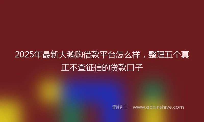 2025年最新大鹅购借款平台怎么样，整理五个真正不查征信的贷款口子