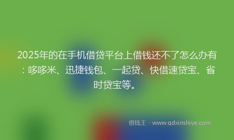 2025年的在手机借贷平台上借钱还不了怎么办有：哆哆米、迅捷钱包、一起贷、快借速贷宝、省时贷宝等。