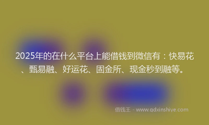 2025年的在什么平台上能借钱到微信有：快易花、甄易融、好运花、固金所、现金秒到融等。
