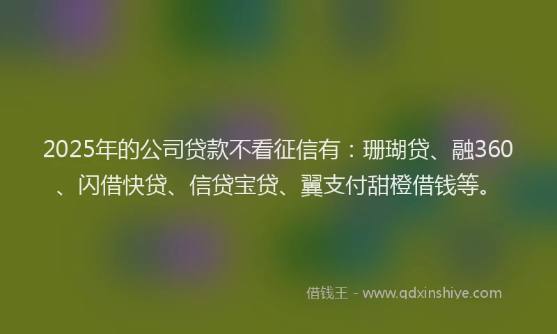 2025年的公司贷款不看征信有：珊瑚贷、融360、闪借快贷、信贷宝贷、翼支付甜橙借钱等。
