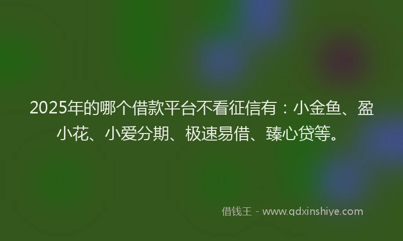 2025年的哪个借款平台不看征信有：小金鱼、盈小花、小爱分期、极速易借、臻心贷等。