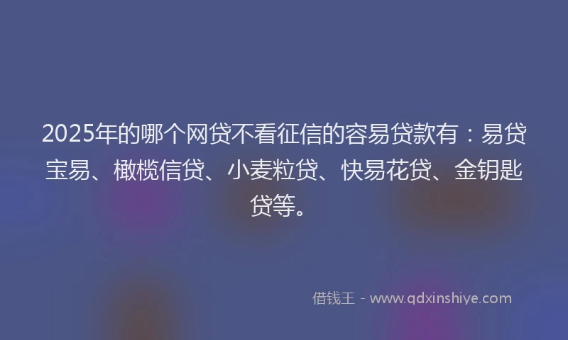 2025年的哪个网贷不看征信的容易贷款有：易贷宝易、橄榄信贷、小麦粒贷、快易花贷、金钥匙贷等。