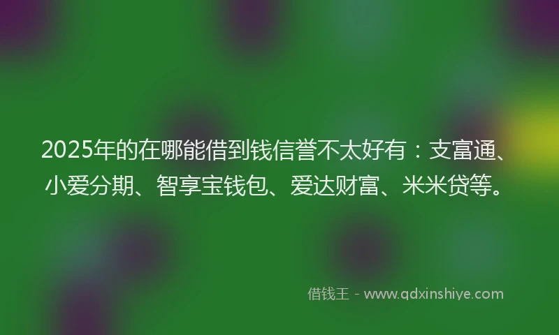 2025年的在哪能借到钱信誉不太好有：支富通、小爱分期、智享宝钱包、爱达财富、米米贷等。