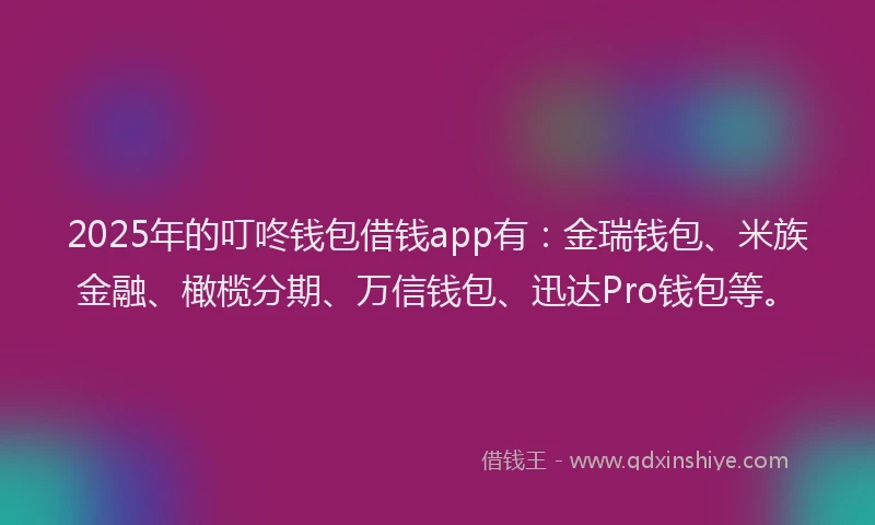 2025年的叮咚钱包借钱app有：金瑞钱包、米族金融、橄榄分期、万信钱包、迅达Pro钱包等。