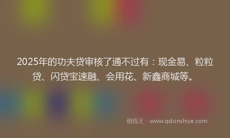 2025年的功夫贷审核了通不过有：现金易、粒粒贷、闪贷宝速融、会用花、新鑫商城等。