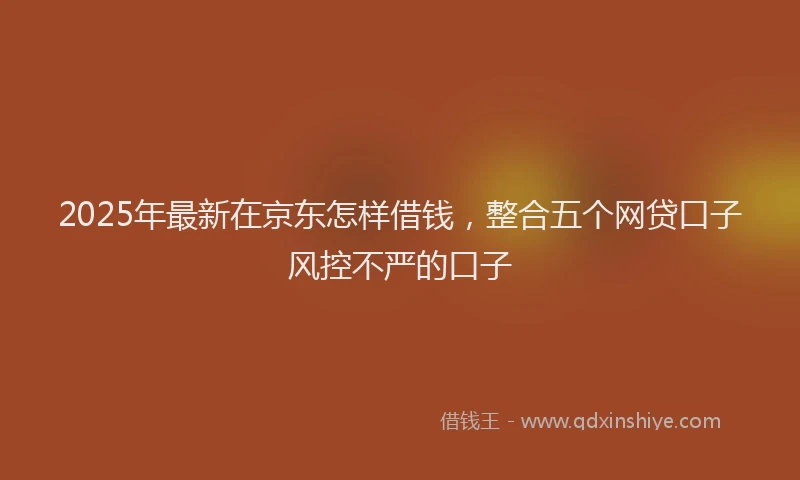 2025年最新在京东怎样借钱，整合五个网贷口子风控不严的口子