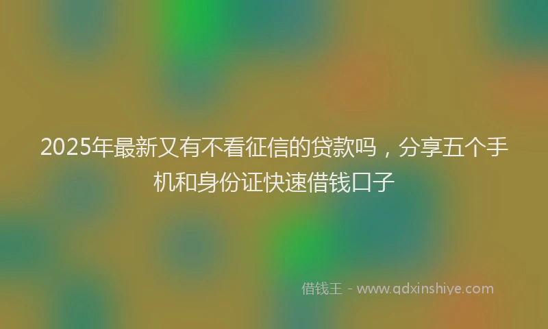 2025年最新又有不看征信的贷款吗，分享五个手机和身份证快速借钱口子