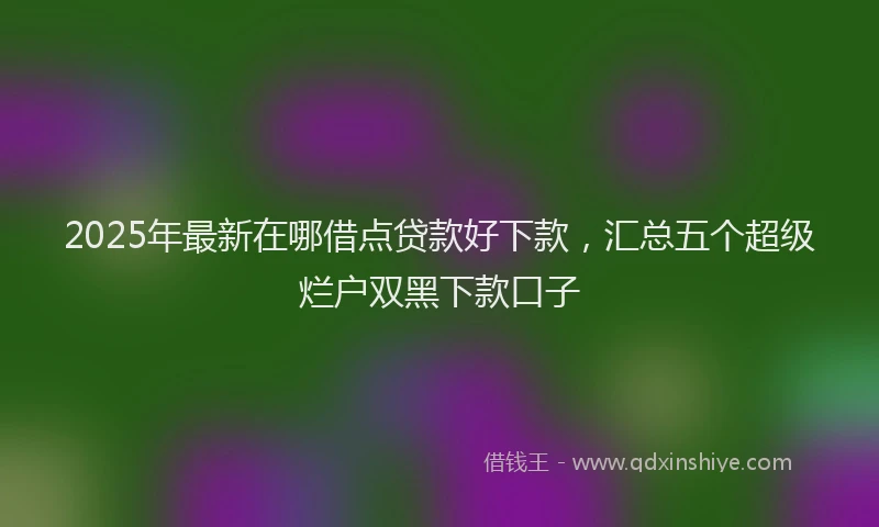 2025年最新在哪借点贷款好下款，汇总五个超级烂户双黑下款口子