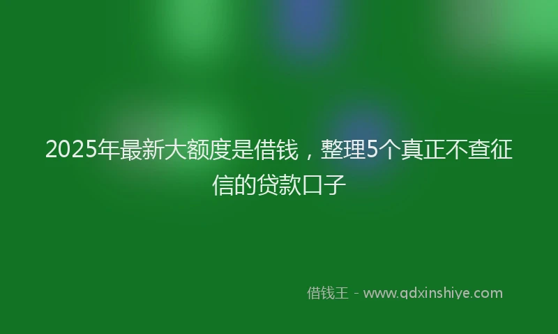 2025年最新大额度是借钱，整理5个真正不查征信的贷款口子