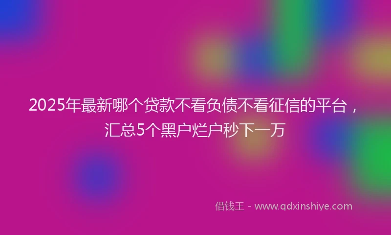 2025年最新哪个贷款不看负债不看征信的平台，汇总5个黑户烂户秒下一万