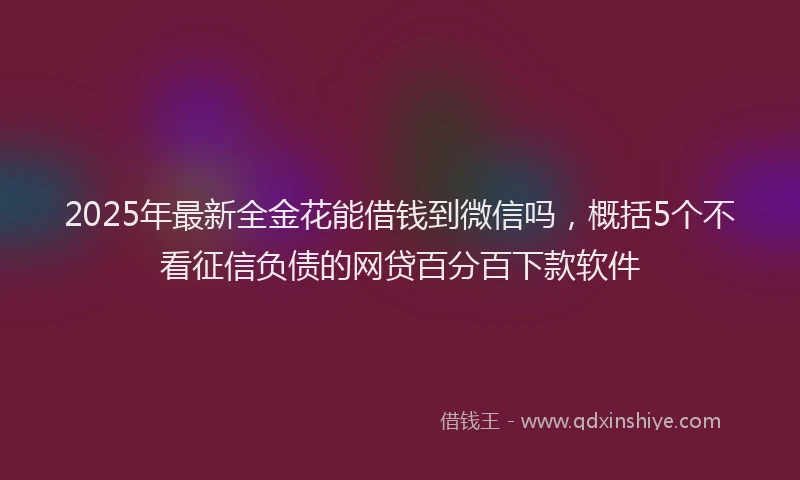 2025年最新全金花能借钱到微信吗，概括5个不看征信负债的网贷百分百下款软件
