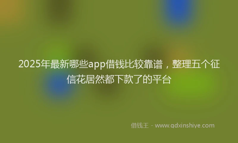 2025年最新哪些app借钱比较靠谱，整理五个征信花居然都下款了的平台