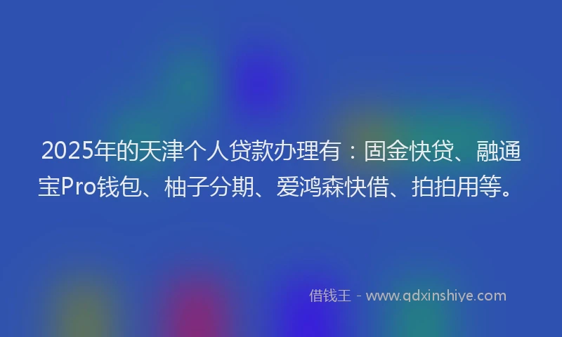 2025年的天津个人贷款办理有：固金快贷、融通宝Pro钱包、柚子分期、爱鸿森快借、拍拍用等。