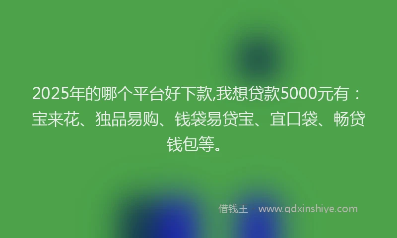 2025年的哪个平台好下款,我想贷款5000元有：宝来花、独品易购、钱袋易贷宝、宜口袋、畅贷钱包等。