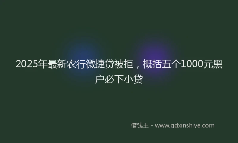 2025年最新农行微捷贷被拒，概括五个1000元黑户必下小贷