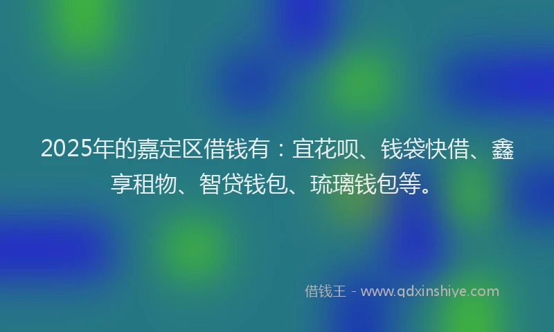 2025年的嘉定区借钱有：宜花呗、钱袋快借、鑫享租物、智贷钱包、琉璃钱包等。