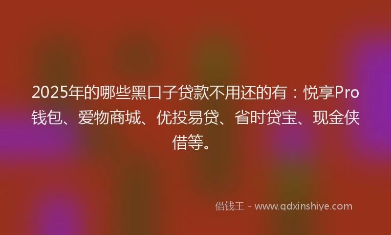 2025年的哪些黑口子贷款不用还的有：悦享Pro钱包、爱物商城、优投易贷、省时贷宝、现金侠借等。