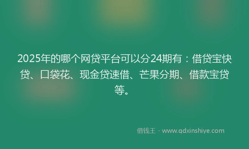 2025年的哪个网贷平台可以分24期有：借贷宝快贷、口袋花、现金贷速借、芒果分期、借款宝贷等。