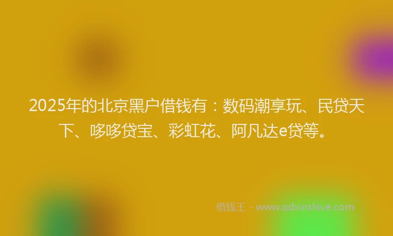 2025年的北京黑户借钱有：数码潮享玩、民贷天下、哆哆贷宝、彩虹花、阿凡达e贷等。