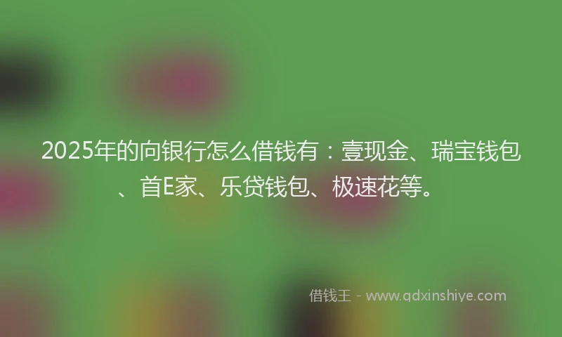 2025年的向银行怎么借钱有：壹现金、瑞宝钱包、首E家、乐贷钱包、极速花等。
