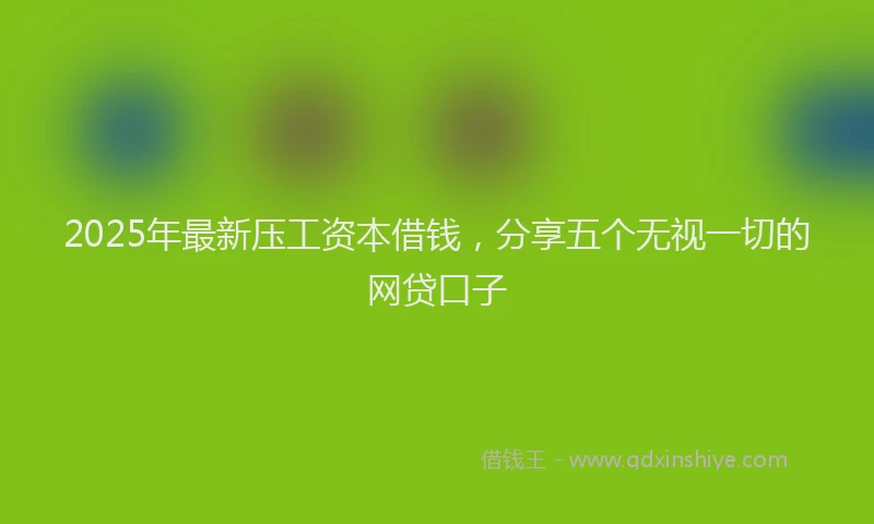 2025年最新压工资本借钱，分享五个无视一切的网贷口子