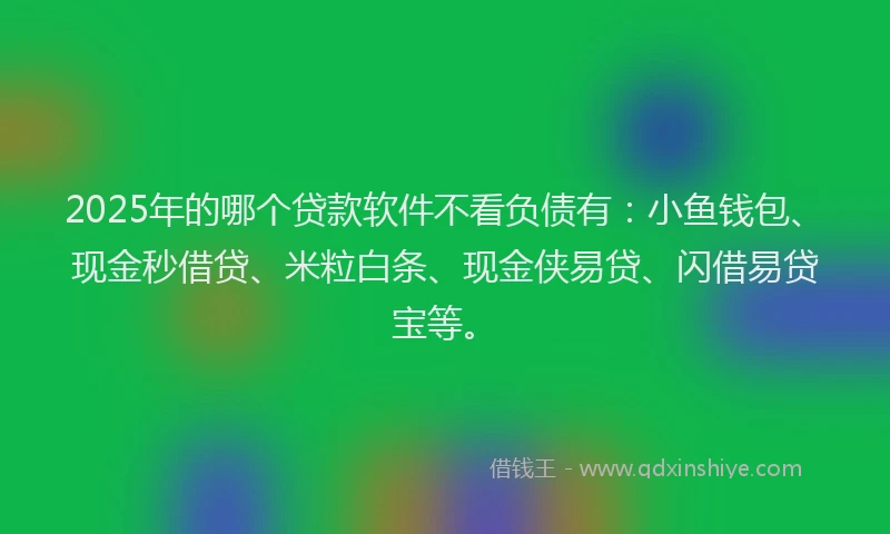 2025年的哪个贷款软件不看负债有：小鱼钱包、现金秒借贷、米粒白条、现金侠易贷、闪借易贷宝等。