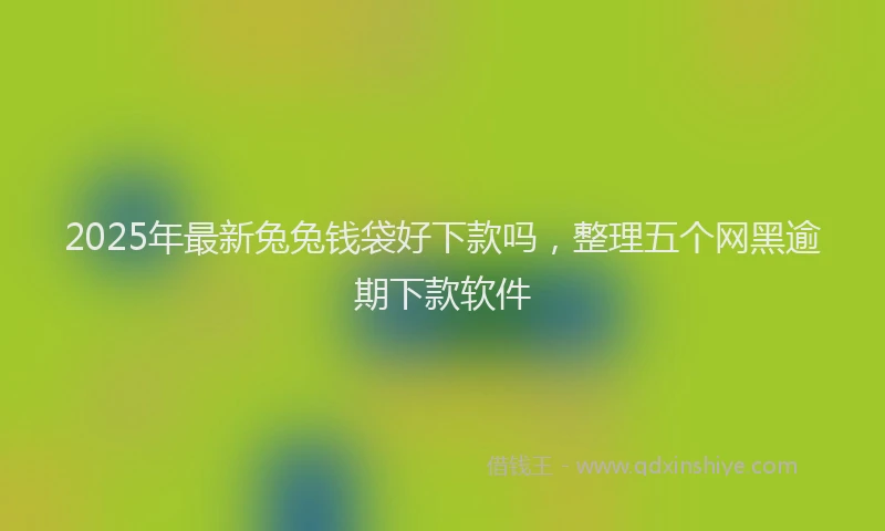 2025年最新兔兔钱袋好下款吗，整理五个网黑逾期下款软件