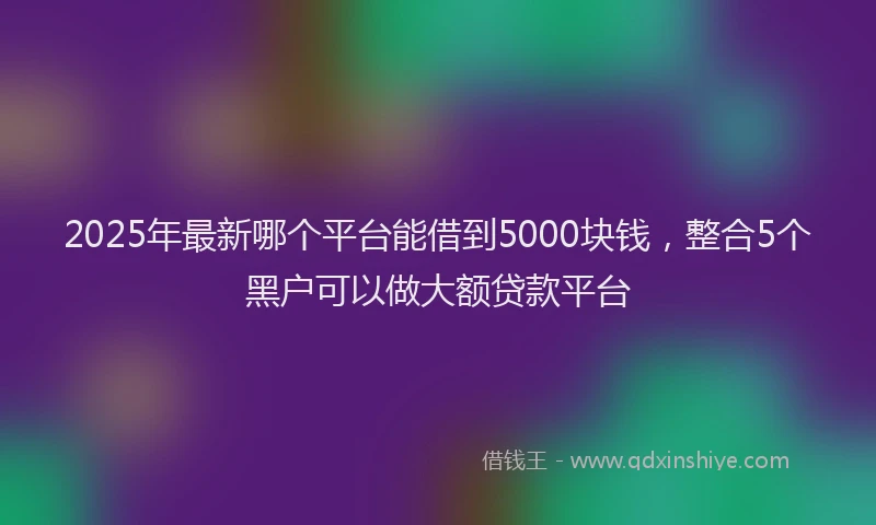2025年最新哪个平台能借到5000块钱，整合5个黑户可以做大额贷款平台