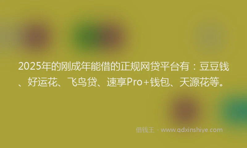 2025年的刚成年能借的正规网贷平台有：豆豆钱、好运花、飞鸟贷、速享Pro+钱包、天源花等。