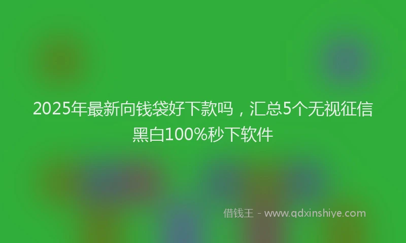2025年最新向钱袋好下款吗，汇总5个无视征信黑白100%秒下软件