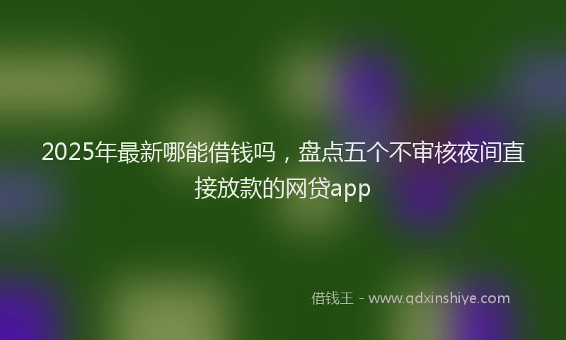 2025年最新哪能借钱吗，盘点五个不审核夜间直接放款的网贷app
