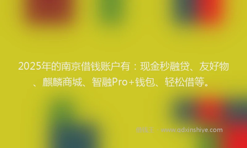 2025年的南京借钱账户有：现金秒融贷、友好物、麒麟商城、智融Pro+钱包、轻松借等。