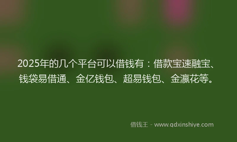 2025年的几个平台可以借钱有：借款宝速融宝、钱袋易借通、金亿钱包、超易钱包、金瀛花等。