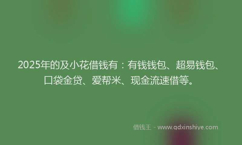 2025年的及小花借钱有：有钱钱包、超易钱包、口袋金贷、爱帮米、现金流速借等。