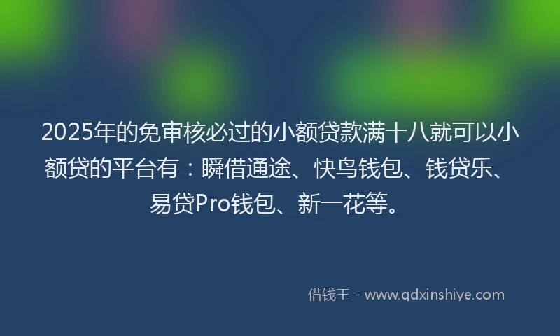 2025年的免审核必过的小额贷款满十八就可以小额贷的平台有：瞬借通途、快鸟钱包、钱贷乐、易贷Pro钱包、新一花等。