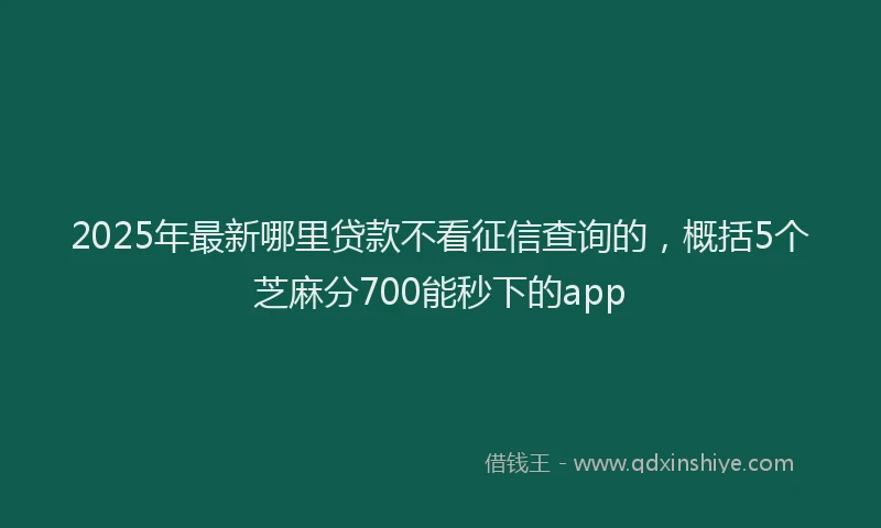 2025年最新哪里贷款不看征信查询的，概括5个芝麻分700能秒下的app