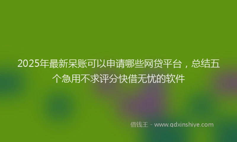 2025年最新呆账可以申请哪些网贷平台，总结五个急用不求评分快借无忧的软件