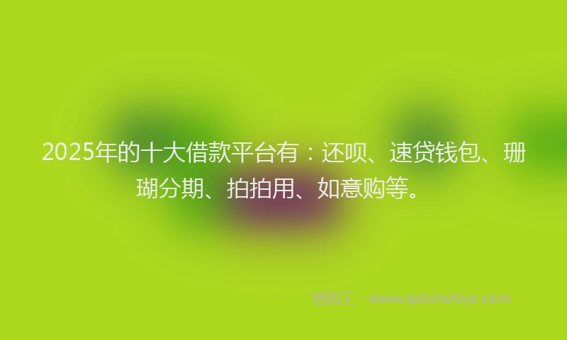2025年的十大借款平台有：还呗、速贷钱包、珊瑚分期、拍拍用、如意购等。