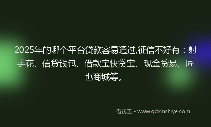 2025年的哪个平台贷款容易通过,征信不好有：射手花、信贷钱包、借款宝快贷宝、现金贷易、匠也商城等。