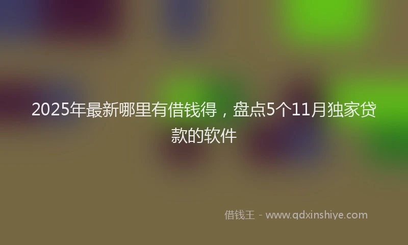 2025年最新哪里有借钱得，盘点5个11月独家贷款的软件