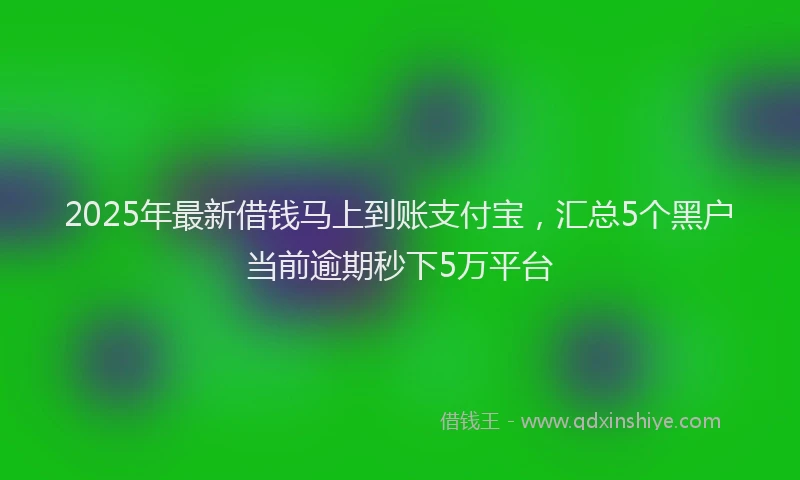 2025年最新借钱马上到账支付宝，汇总5个黑户当前逾期秒下5万平台