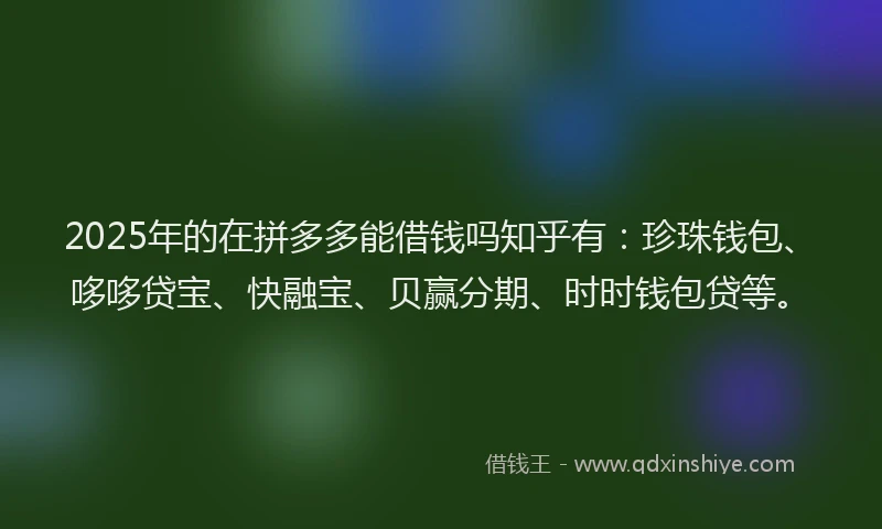2025年的在拼多多能借钱吗知乎有：珍珠钱包、哆哆贷宝、快融宝、贝赢分期、时时钱包贷等。