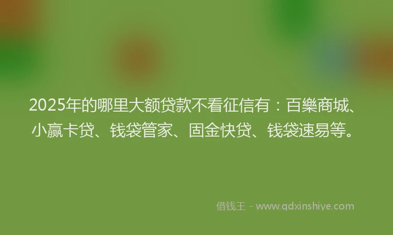 2025年的哪里大额贷款不看征信有：百樂商城、小赢卡贷、钱袋管家、固金快贷、钱袋速易等。