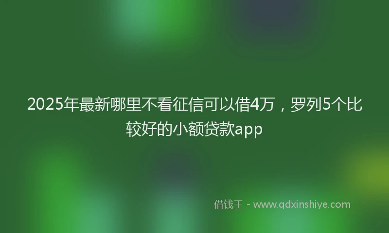 2025年最新哪里不看征信可以借4万，罗列5个比较好的小额贷款app