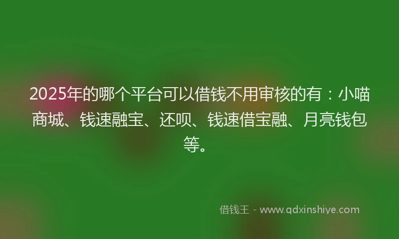 2025年的哪个平台可以借钱不用审核的有：小喵商城、钱速融宝、还呗、钱速借宝融、月亮钱包等。