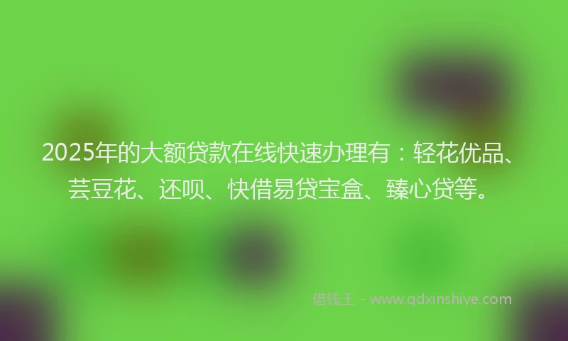 2025年的大额贷款在线快速办理有：轻花优品、芸豆花、还呗、快借易贷宝盒、臻心贷等。